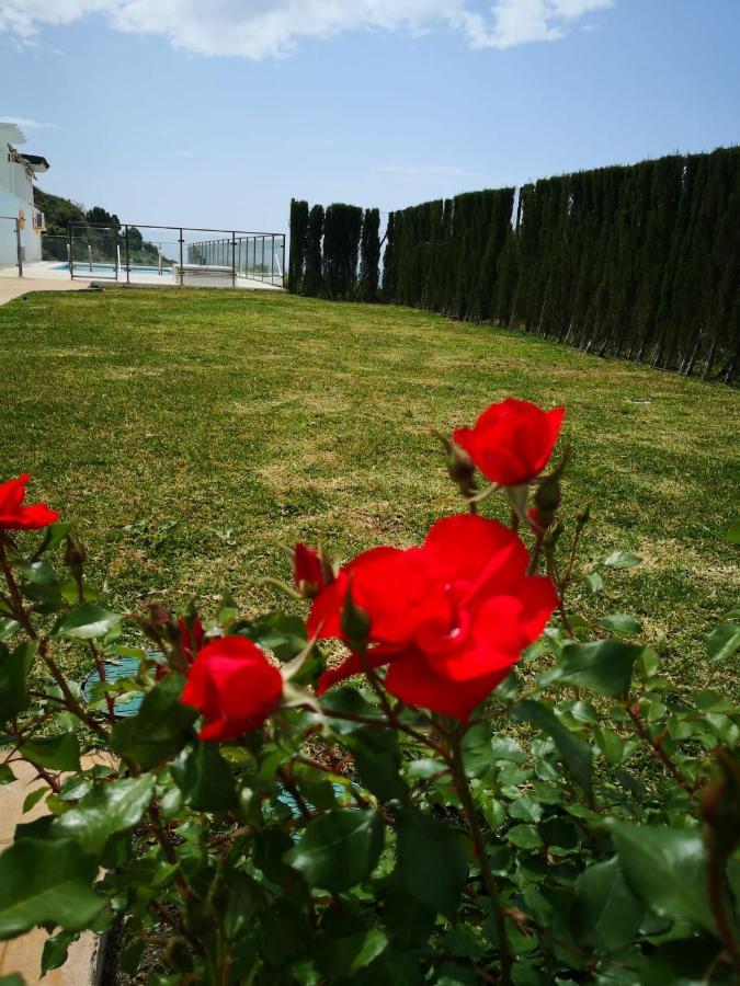 Dana Ii Eurogolf, Vistas, Wifi, Piscina Y Parking * Benalmadena